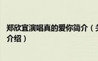 郑欣宜演唱真的爱你简介（关于拥抱爱 郑欣宜演唱歌曲详细介绍）