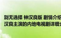 别无选择 钟汉良版 剧情介绍简介（关于别无选择 2012年钟汉良主演的内地电视剧详细介绍）