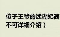 傻子王爷的迷糊妃简介（关于痴傻王爷II妃孕不可详细介绍）