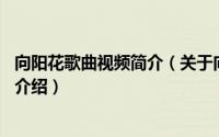 向阳花歌曲视频简介（关于向阳花 安与骑兵演唱的歌曲详细介绍）