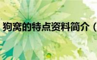 狗窝的特点资料简介（关于狗窝团详细介绍）