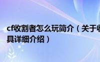cf收割者怎么玩简介（关于收割者 网游“穿越火线”游戏道具详细介绍）