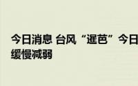 今日消息 台风“暹芭”今日6时中心位于广西桂平市，强度缓慢减弱