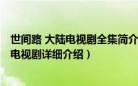世间路 大陆电视剧全集简介（关于世间路 2010年中国大陆电视剧详细介绍）