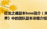 巨龙之魂副本boss简介（关于巨龙之魂 网络游戏《魔兽世界》中的团队副本详细介绍）