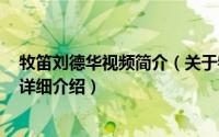 牧笛刘德华视频简介（关于牧笛 2007年刘德华演唱的歌曲详细介绍）