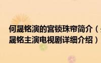 何晟铭演的宫锁珠帘简介（关于宫锁珠帘 2012年杜淳、何晟铭主演电视剧详细介绍）