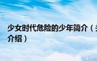 少女时代危险的少年简介（关于少女时代和危险少年们详细介绍）