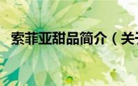 索菲亚甜品简介（关于甜心索菲详细介绍）