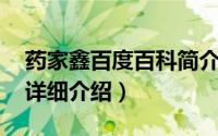 药家鑫百度百科简介（关于张彦 女版药家鑫详细介绍）