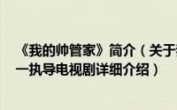 《我的帅管家》简介（关于我的帅管家 日本2009年石川淳一执导电视剧详细介绍）