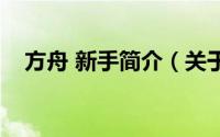 方舟 新手简介（关于方舟水手详细介绍）