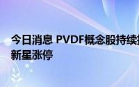 今日消息 PVDF概念股持续拉升，多氟多、黑猫股份、深圳新星涨停