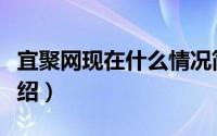宜聚网现在什么情况简介（关于宜聚网详细介绍）