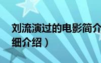 刘流演过的电影简介（关于刘流 演员导演详细介绍）