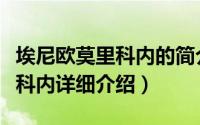 埃尼欧莫里科内的简介简介（关于埃尼欧莫里科内详细介绍）