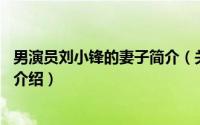 男演员刘小锋的妻子简介（关于刘小锋 中国内地男演员详细介绍）