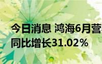 今日消息 鸿海6月营收5261.96亿元新台币，同比增长31.02％