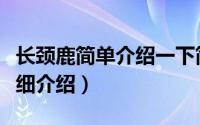 长颈鹿简单介绍一下简介（关于电动长颈鹿详细介绍）