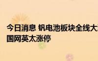 今日消息 钒电池板块全线大涨，攀钢钒钛2连板，中核钛白、国网英太涨停