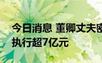 今日消息 董卿丈夫密春雷及览海控股被强制执行超7亿元