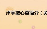 津亭拔心草简介（关于草津亭详细介绍）
