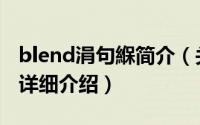 blend涓句緥简介（关于BLENDFUNCTION详细介绍）