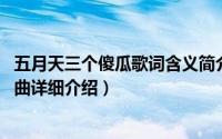 五月天三个傻瓜歌词含义简介（关于三个傻瓜 五月天演唱歌曲详细介绍）