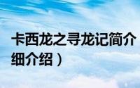 卡西龙之寻龙记简介（关于卡西龙之龙传奇详细介绍）