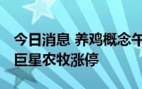今日消息 养鸡概念午后持续拉升，天康生物、巨星农牧涨停
