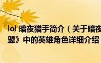 lol 暗夜猎手简介（关于暗夜猎手 MOBA竞技网游《英雄联盟》中的英雄角色详细介绍）