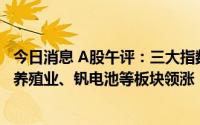 今日消息 A股午评：三大指数低开高走，创业板指涨超1%，养殖业、钒电池等板块领涨