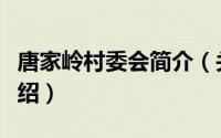 唐家岭村委会简介（关于唐家岭社区网详细介绍）