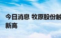 今日消息 牧原股份触及涨停，股价创近5个月新高