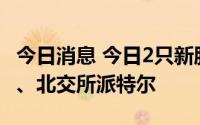 今日消息 今日2只新股申购：上交所华盛锂电、北交所派特尔