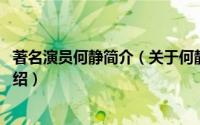 著名演员何静简介（关于何静 中国内地女演员、模特详细介绍）