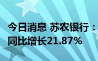 今日消息 苏农银行：上半年净利润8.47亿元，同比增长21.87%
