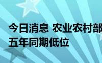 今日消息 农业农村部：6月蔬菜地头价处于近五年同期低位