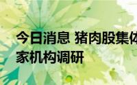 今日消息 猪肉股集体涨停，牧原股份获超百家机构调研