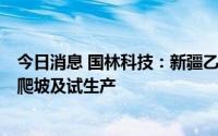 今日消息 国林科技：新疆乙醛酸项目预计4-6个月完成产能爬坡及试生产