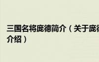 三国名将庞德简介（关于庞德 《梦三国》游戏人物角色详细介绍）