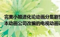 完美小姐进化论动画分集剧情简介（关于完美小姐进化论 日本动画公司改编的电视动画详细介绍）
