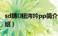 sd鏄粈涔坅pp简介（关于app to sd详细介绍）