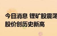 今日消息 锂矿股震荡反弹，天齐锂业涨超3%股价创历史新高