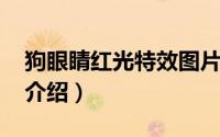 狗眼睛红光特效图片简介（关于进化GT详细介绍）
