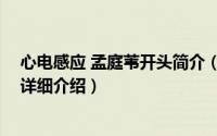 心电感应 孟庭苇开头简介（关于心电感应 孟庭苇演唱歌曲详细介绍）