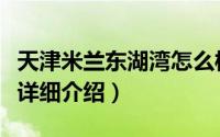 天津米兰东湖湾怎么样简介（关于米兰东湖湾详细介绍）