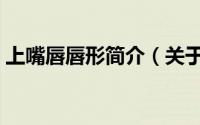 上嘴唇唇形简介（关于任性的嘴唇详细介绍）