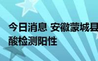 今日消息 安徽蒙城县发现1名省外返蒙人员核酸检测阳性