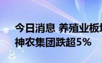 今日消息 养殖业板块持续走低，湘佳股份、神农集团跌超5%